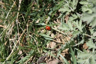 ���т����̂܂�������L�B