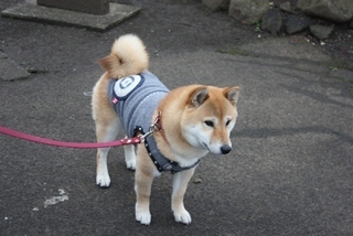 ���т����̂܂�������L�B