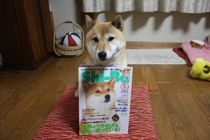 ���т����̂܂�������L�B