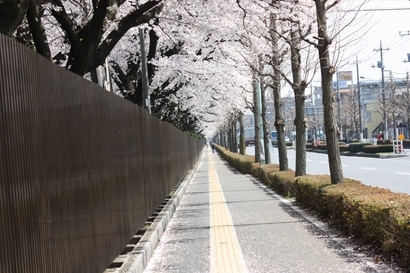 ���т����̂܂�������L�B