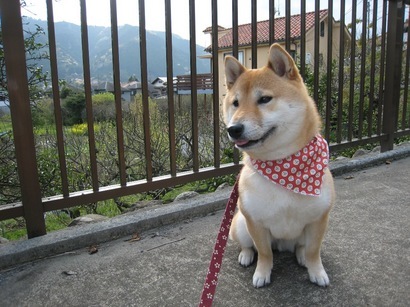 ���т����̂܂�������L�B