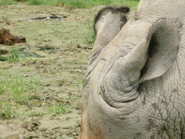 �H�����񁕃G�g�Z�g��