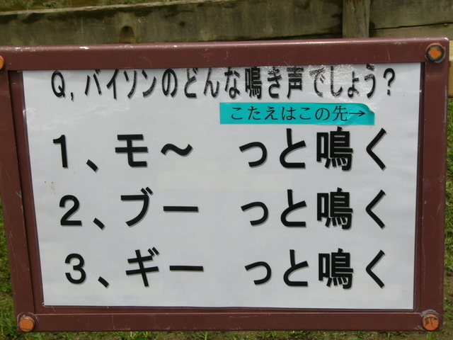 �H�����񁕃G�g�Z�g��