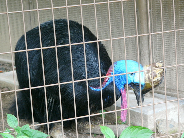 �H�����񁕃G�g�Z�g��