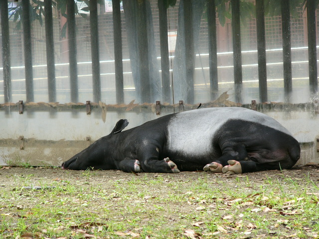 �H�����񁕃G�g�Z�g��