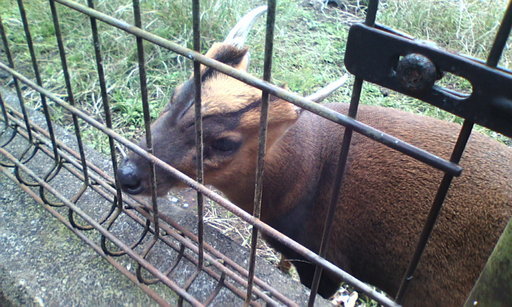 �H�����񁕃G�g�Z�g��