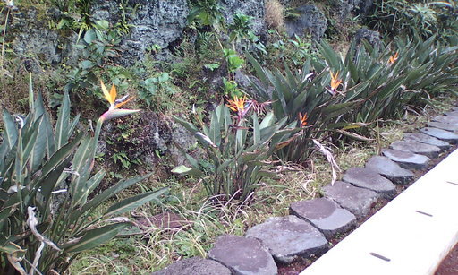 �H�����񁕃G�g�Z�g��