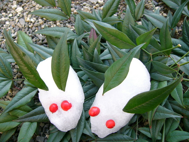 �H�����񁕃G�g�Z�g��