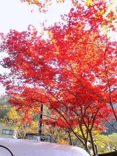 �H�����񁕃G�g�Z�g��