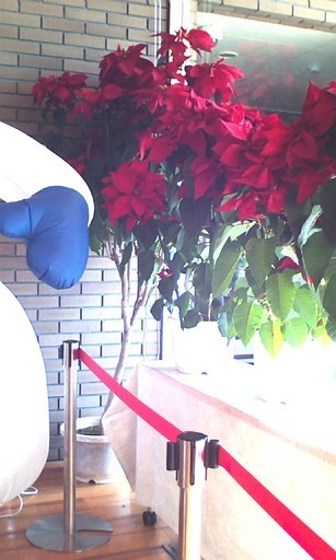 �H�����񁕃G�g�Z�g��