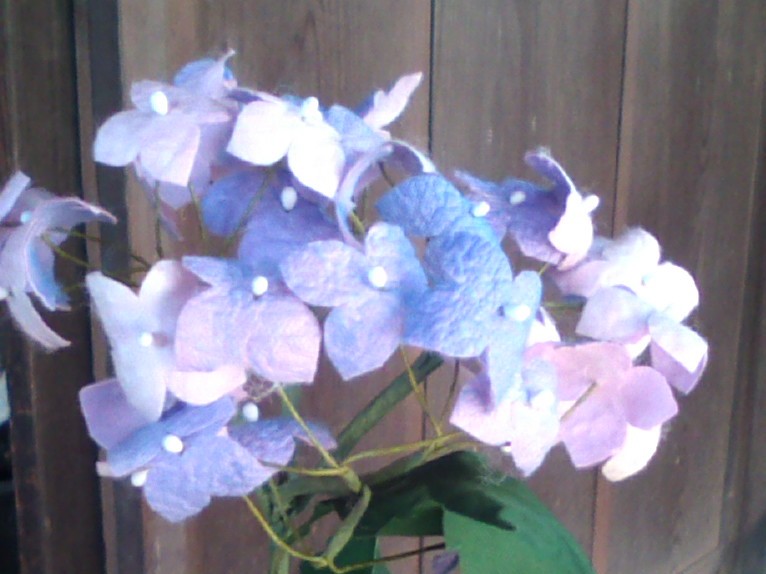 �H�����񁕃G�g�Z�g��