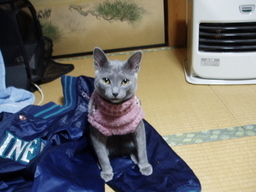 �H�����񁕃G�g�Z�g��