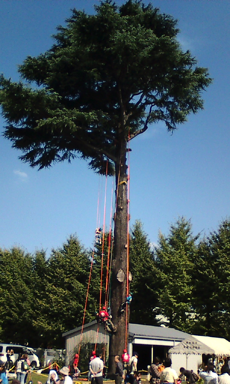 �H�����񁕃G�g�Z�g��