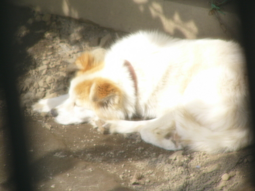 �H�����񁕃G�g�Z�g��