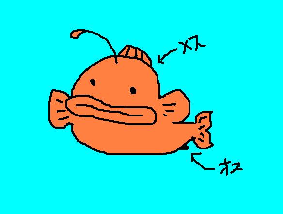 �H�����񁕃G�g�Z�g��