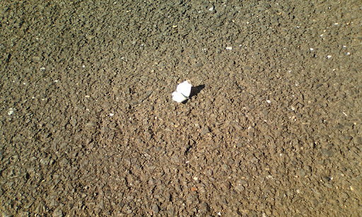 �H�����񁕃G�g�Z�g��