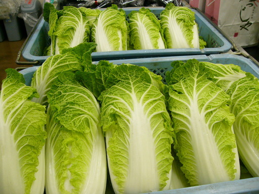 �H�����񁕃G�g�Z�g��