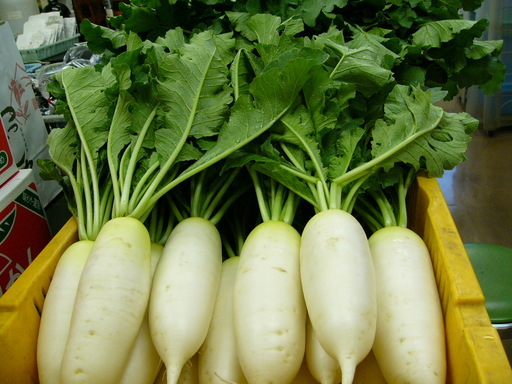 �H�����񁕃G�g�Z�g��