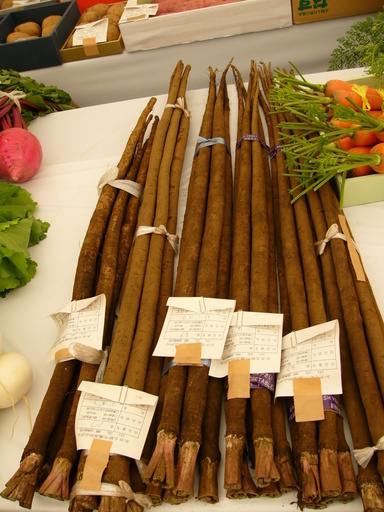 �H�����񁕃G�g�Z�g��