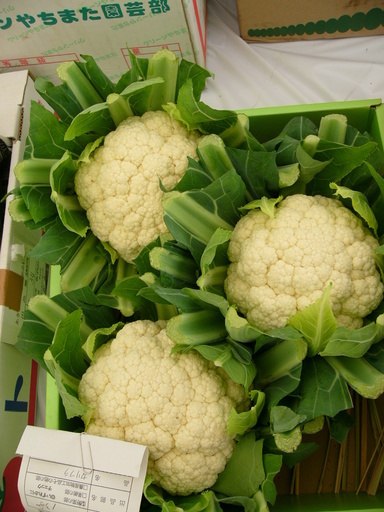 �H�����񁕃G�g�Z�g��