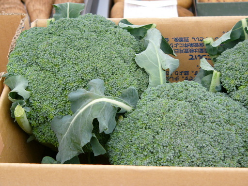 �H�����񁕃G�g�Z�g��