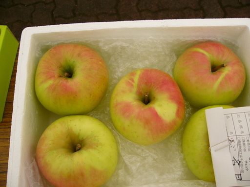 �H�����񁕃G�g�Z�g��