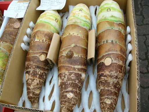 �H�����񁕃G�g�Z�g��