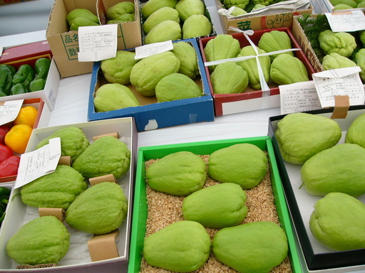 �H�����񁕃G�g�Z�g��