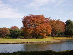 �H�����񁕃G�g�Z�g��