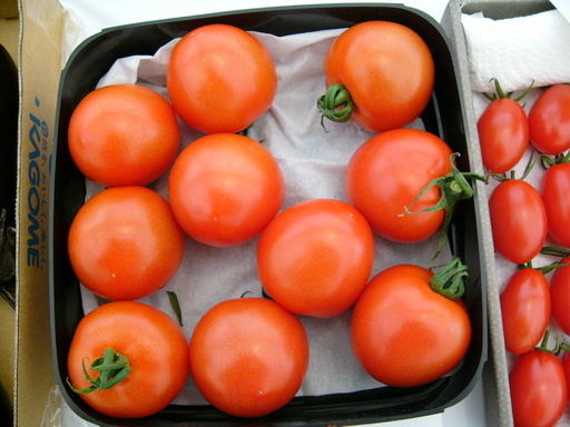 �H�����񁕃G�g�Z�g��