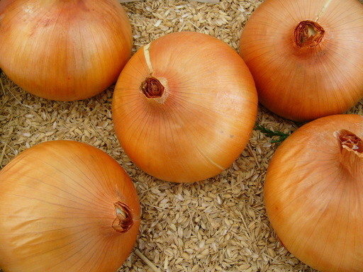 �H�����񁕃G�g�Z�g��