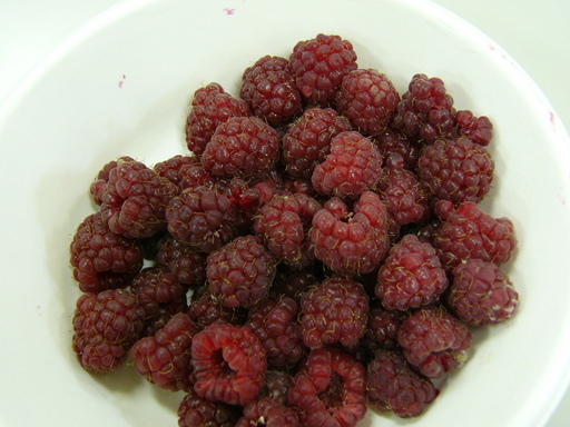 �H�����񁕃G�g�Z�g��