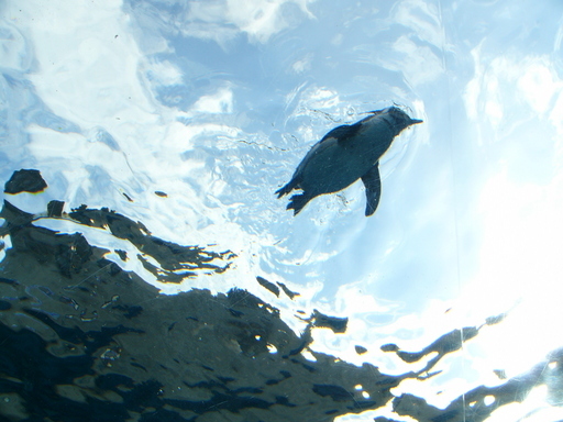 �H�����񁕃G�g�Z�g��