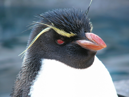 �H�����񁕃G�g�Z�g��