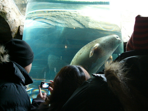 �H�����񁕃G�g�Z�g��