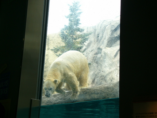 �H�����񁕃G�g�Z�g��