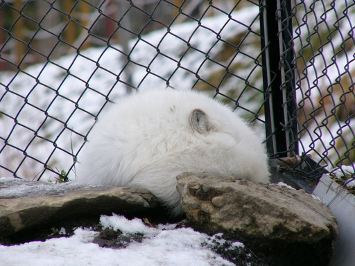 �H�����񁕃G�g�Z�g��