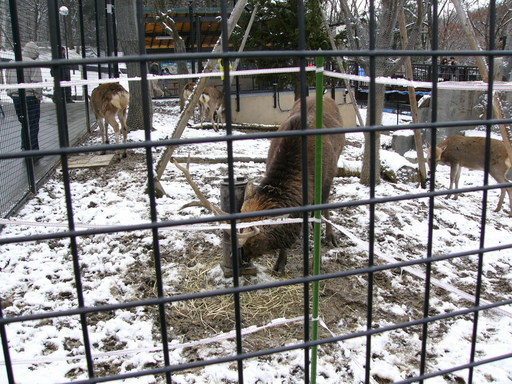 �H�����񁕃G�g�Z�g��