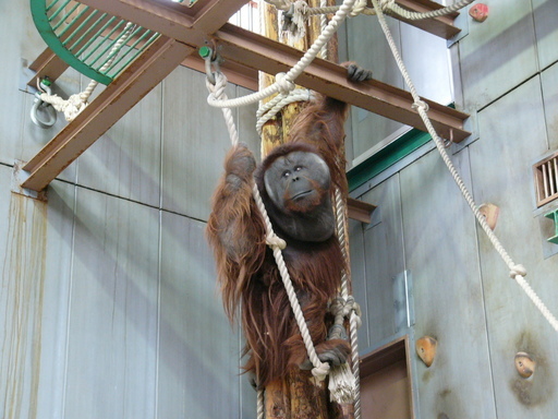 �H�����񁕃G�g�Z�g��