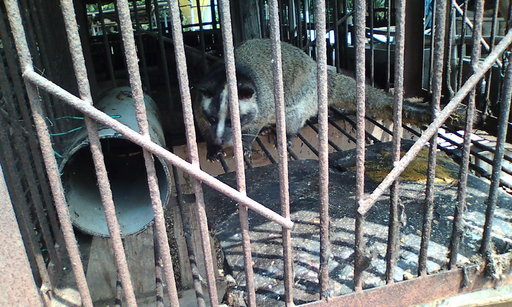 �H�����񁕃G�g�Z�g��