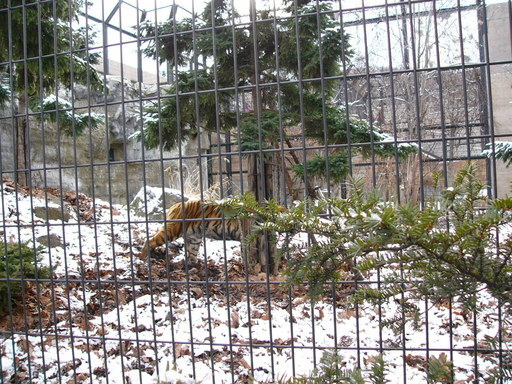 �H�����񁕃G�g�Z�g��