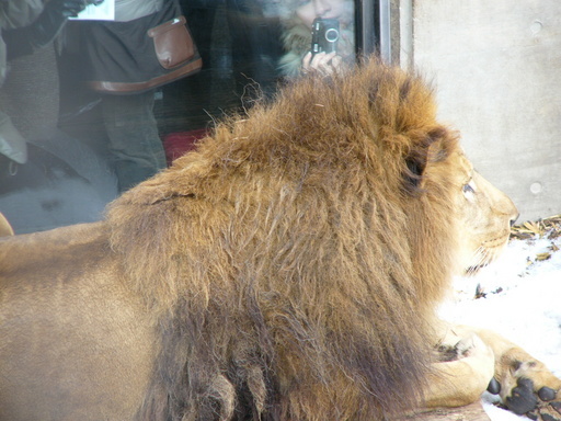 �H�����񁕃G�g�Z�g��