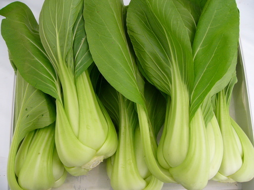 �H�����񁕃G�g�Z�g��