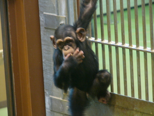 �H�����񁕃G�g�Z�g��