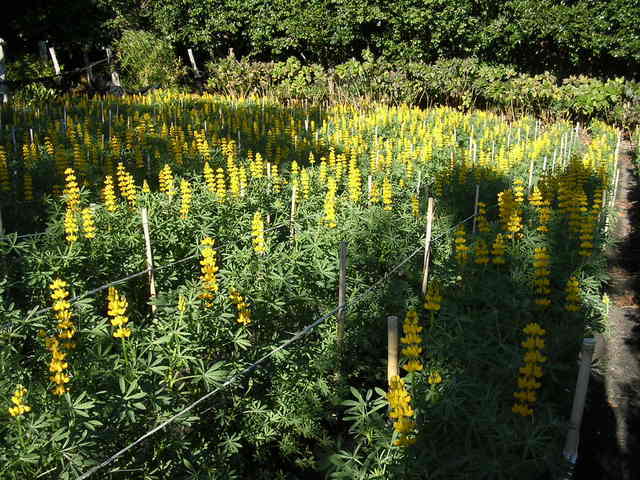 �H�����񁕃G�g�Z�g��