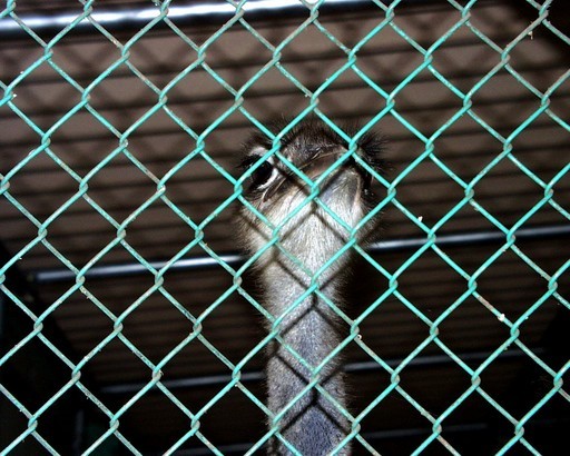 �H�����񁕃G�g�Z�g��