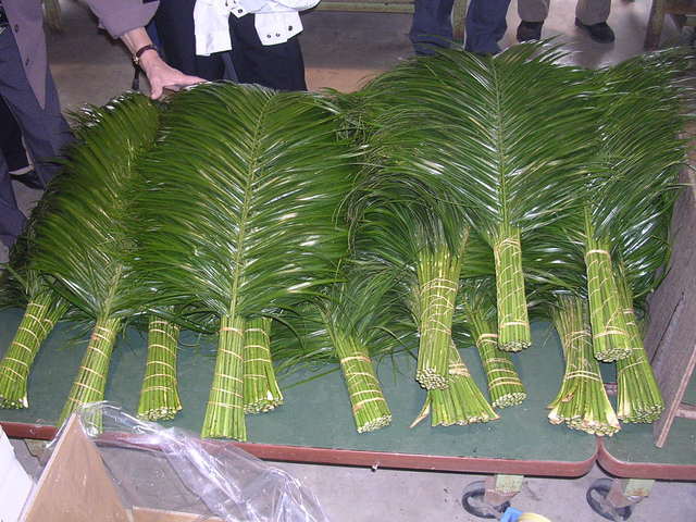 �H�����񁕃G�g�Z�g��