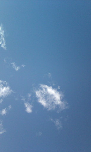 �H�����񁕃G�g�Z�g��