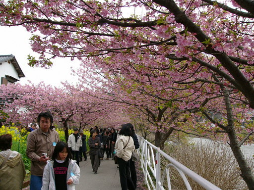 �H�����񁕃G�g�Z�g��