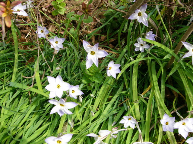 �H�����񁕃G�g�Z�g��